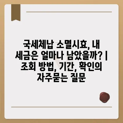 국세체납 소멸시효, 내 세금은 얼마나 남았을까? | 조회 방법, 기간, 확인