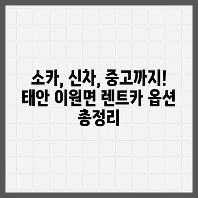 충청남도 태안군 이원면 렌트카 가격비교 | 리스 | 장기대여 | 1일비용 | 비용 | 소카 | 중고 | 신차 | 1박2일 2024후기