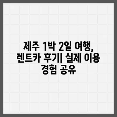 제주도 서귀포시 효돈동 렌트카 가격비교 | 리스 | 장기대여 | 1일비용 | 비용 | 소카 | 중고 | 신차 | 1박2일 2024후기