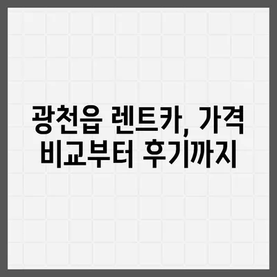 충청남도 홍성군 광천읍 렌트카 가격비교 | 리스 | 장기대여 | 1일비용 | 비용 | 소카 | 중고 | 신차 | 1박2일 2024후기