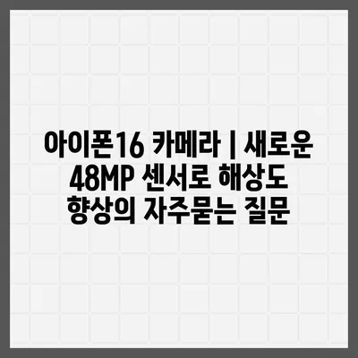 아이폰16 카메라 | 새로운 48MP 센서로 해상도 향상