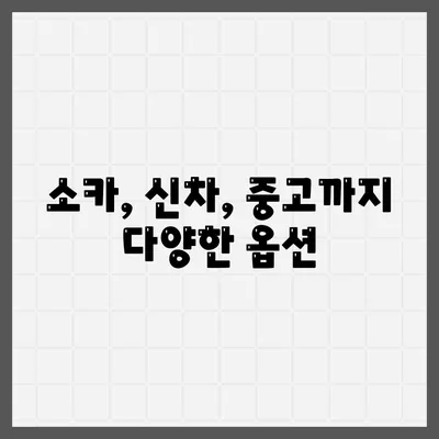 광주시 북구 두암2동 렌트카 가격비교 | 리스 | 장기대여 | 1일비용 | 비용 | 소카 | 중고 | 신차 | 1박2일 2024후기