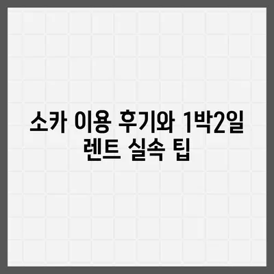 서울시 강서구 가양제1동 렌트카 가격비교 | 리스 | 장기대여 | 1일비용 | 비용 | 소카 | 중고 | 신차 | 1박2일 2024후기