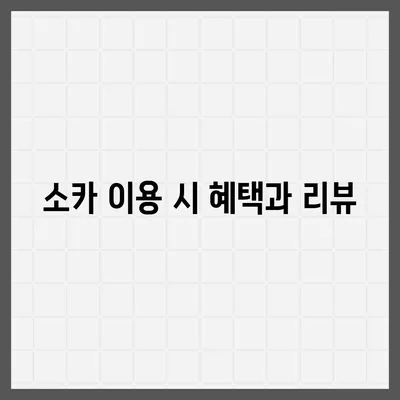 전라북도 무주군 무주읍 렌트카 가격비교 | 리스 | 장기대여 | 1일비용 | 비용 | 소카 | 중고 | 신차 | 1박2일 2024후기