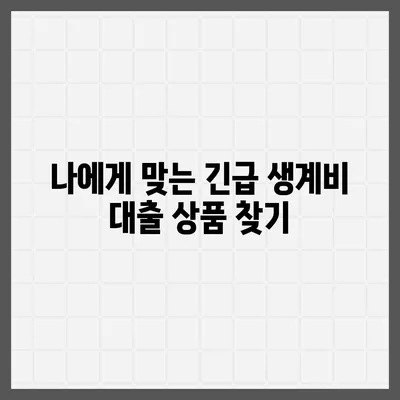 긴급한 생계난, 소액 대출로 해결하세요! | 서민 긴급생계비 대출 정보, 신청 방법, 한눈에 보기