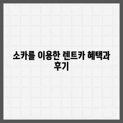 세종시 세종특별자치시 장군면 렌트카 가격비교 | 리스 | 장기대여 | 1일비용 | 비용 | 소카 | 중고 | 신차 | 1박2일 2024후기