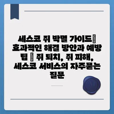 세스코 쥐 박멸 가이드| 효과적인 해결 방안과 예방 팁 | 쥐 퇴치, 쥐 피해, 세스코 서비스