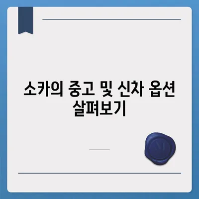 인천시 남동구 논현2동 렌트카 가격비교 | 리스 | 장기대여 | 1일비용 | 비용 | 소카 | 중고 | 신차 | 1박2일 2024후기