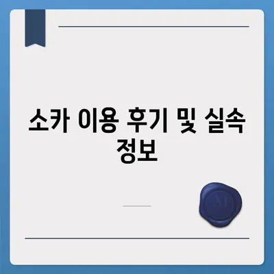 경상북도 성주군 가천면 렌트카 가격비교 | 리스 | 장기대여 | 1일비용 | 비용 | 소카 | 중고 | 신차 | 1박2일 2024후기