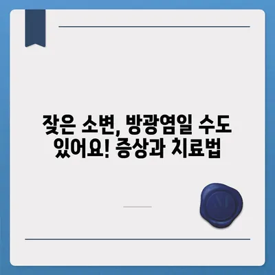 소변이 자주 마려운 이유| 원인과 해결책 | 빈뇨, 야뇨증, 방광염, 건강 팁