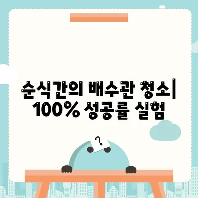 순식간의 배수관 청소| 100% 성공률 실험