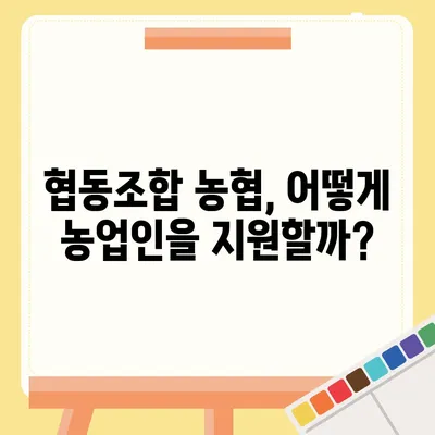 NH농협중앙회 vs 농협은행| 차이점 비교분석 | 농협, 금융, 협동조합, 차이