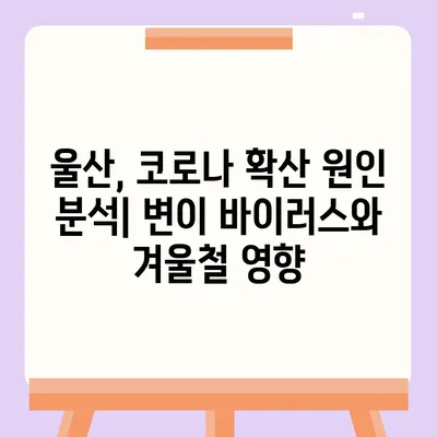 울산 코로나 확진자 급증! 현황과 확산세 분석 | 울산 코로나, 확진자 현황, 방역 현황, 울산 지역