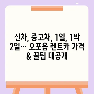 경기도 광주시 오포읍 렌트카 가격비교 | 리스 | 장기대여 | 1일비용 | 비용 | 소카 | 중고 | 신차 | 1박2일 2024후기