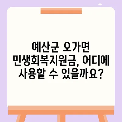 충청남도 예산군 오가면 민생회복지원금 | 신청 | 신청방법 | 대상 | 지급일 | 사용처 | 전국민 | 이재명 | 2024