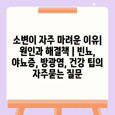 소변이 자주 마려운 이유| 원인과 해결책 | 빈뇨, 야뇨증, 방광염, 건강 팁