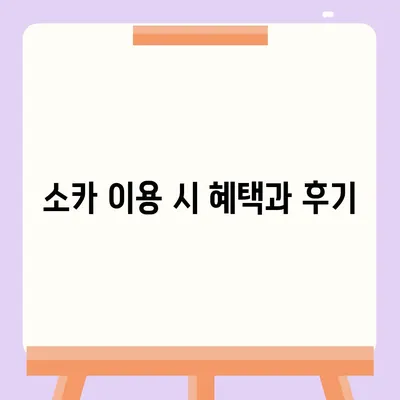 대구시 달성군 구지면 렌트카 가격비교 | 리스 | 장기대여 | 1일비용 | 비용 | 소카 | 중고 | 신차 | 1박2일 2024후기