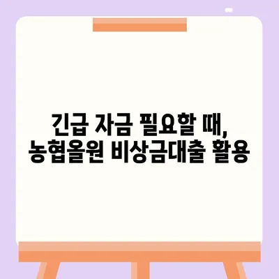 농협올원 비상금대출, 급할 때 빠르게 이용하는 방법 | 비상금, 대출, 신청, 조건, 한도