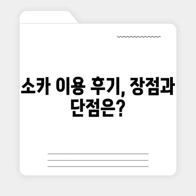 충청북도 청주시 흥덕구 신봉동 렌트카 가격비교 | 리스 | 장기대여 | 1일비용 | 비용 | 소카 | 중고 | 신차 | 1박2일 2024후기