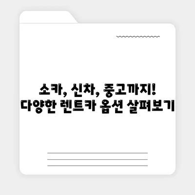 충청북도 청주시 서원구 사창동 렌트카 가격비교 | 리스 | 장기대여 | 1일비용 | 비용 | 소카 | 중고 | 신차 | 1박2일 2024후기