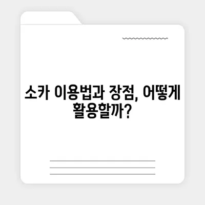 광주시 광산구 신창동 렌트카 가격비교 | 리스 | 장기대여 | 1일비용 | 비용 | 소카 | 중고 | 신차 | 1박2일 2024후기