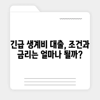 긴급한 생계난, 소액 대출로 해결하세요! | 서민 긴급생계비 대출 정보, 신청 방법, 한눈에 보기