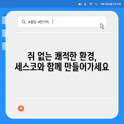 세스코 쥐 박멸 가이드| 효과적인 해결 방안과 예방 팁 | 쥐 퇴치, 쥐 피해, 세스코 서비스