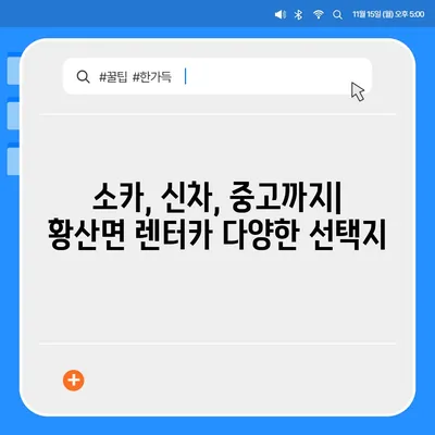 전라북도 김제시 황산면 렌트카 가격비교 | 리스 | 장기대여 | 1일비용 | 비용 | 소카 | 중고 | 신차 | 1박2일 2024후기