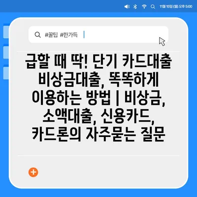 급할 때 딱! 단기 카드대출 비상금대출, 똑똑하게 이용하는 방법 | 비상금, 소액대출, 신용카드, 카드론