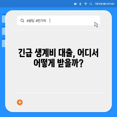 긴급한 생계비 걱정, 소액대출로 해결하세요! | 서민 긴급생계비 대출, 소액대출, 금융 지원, 비상금 마련