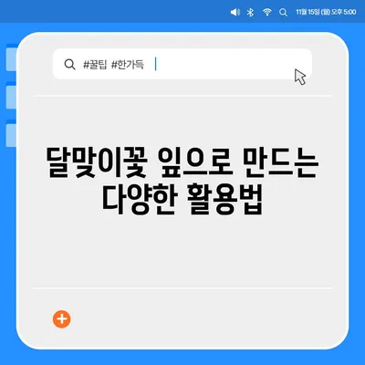 달맞이꽃 잎의 놀라운 효능| 건강, 미용, 그리고 당신의 삶을 위한 특별한 선물 | 달맞이꽃, 효능, 건강, 미용, 잎, 차, 활용법