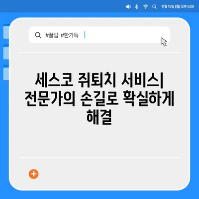 세스코 쥐퇴치, 효과적인 방법 총정리 | 쥐 잡는법, 쥐 피해 예방, 세스코 서비스