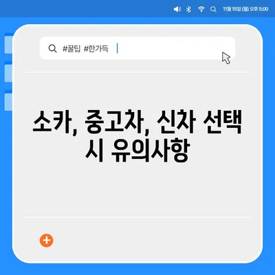 부산시 남구 용호3동 렌트카 가격비교 | 리스 | 장기대여 | 1일비용 | 비용 | 소카 | 중고 | 신차 | 1박2일 2024후기