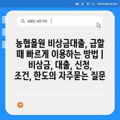 농협올원 비상금대출, 급할 때 빠르게 이용하는 방법 | 비상금, 대출, 신청, 조건, 한도