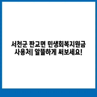 충청남도 서천군 판교면 민생회복지원금 | 신청 | 신청방법 | 대상 | 지급일 | 사용처 | 전국민 | 이재명 | 2024