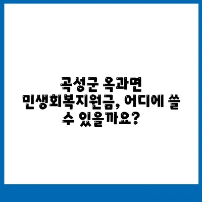 전라남도 곡성군 옥과면 민생회복지원금 | 신청 | 신청방법 | 대상 | 지급일 | 사용처 | 전국민 | 이재명 | 2024