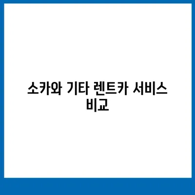 전라북도 장수군 번암면 렌트카 가격비교 | 리스 | 장기대여 | 1일비용 | 비용 | 소카 | 중고 | 신차 | 1박2일 2024후기