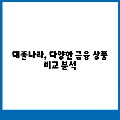 대출나라