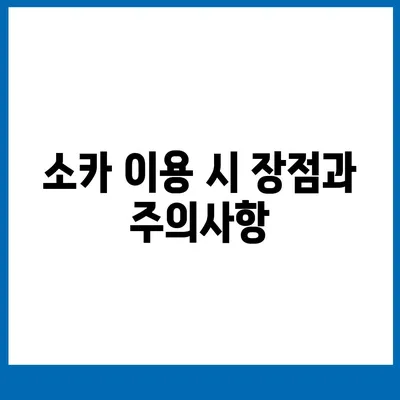 대전시 동구 대동 렌트카 가격비교 | 리스 | 장기대여 | 1일비용 | 비용 | 소카 | 중고 | 신차 | 1박2일 2024후기