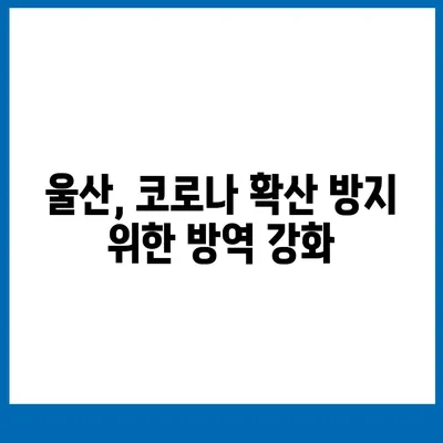 울산 코로나 확진자 급증! 현황과 확산세 분석 | 울산, 코로나19, 확진자 수, 방역, 현황, 분석