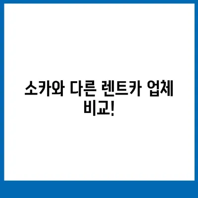 강원도 춘천시 소양로4동 렌트카 가격비교 | 리스 | 장기대여 | 1일비용 | 비용 | 소카 | 중고 | 신차 | 1박2일 2024후기