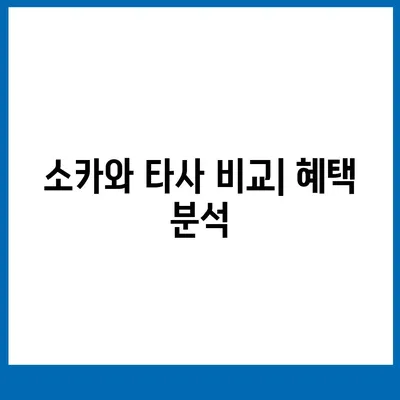 강원도 고성군 토성면 렌트카 가격비교 | 리스 | 장기대여 | 1일비용 | 비용 | 소카 | 중고 | 신차 | 1박2일 2024후기