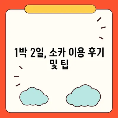 울산시 남구 수암동 렌트카 가격비교 | 리스 | 장기대여 | 1일비용 | 비용 | 소카 | 중고 | 신차 | 1박2일 2024후기