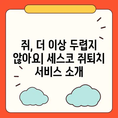 세스코 쥐퇴치, 효과적인 방법 총정리 | 쥐 잡는법, 쥐 피해 예방, 세스코 서비스