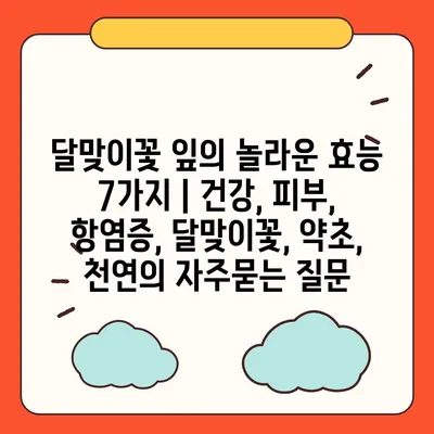 달맞이꽃 잎의 놀라운 효능 7가지 | 건강, 피부, 항염증, 달맞이꽃, 약초, 천연