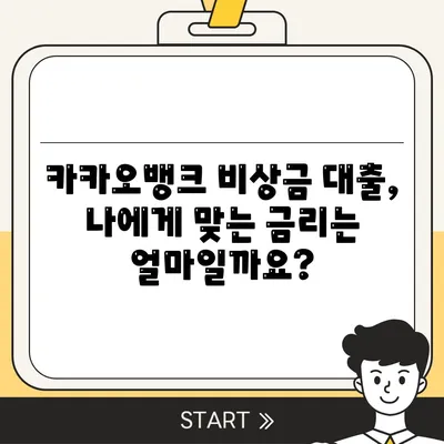 카카오뱅크 비상금 대출