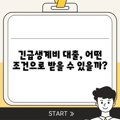 서민 긴급생계비 소액 대출