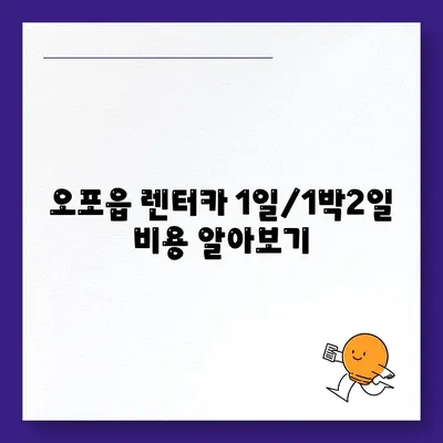 경기도 광주시 오포읍 렌트카 가격비교 | 리스 | 장기대여 | 1일비용 | 비용 | 소카 | 중고 | 신차 | 1박2일 2024후기