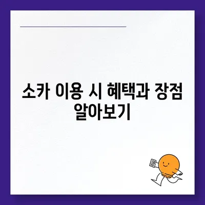 강원도 동해시 발한동 렌트카 가격비교 | 리스 | 장기대여 | 1일비용 | 비용 | 소카 | 중고 | 신차 | 1박2일 2024후기