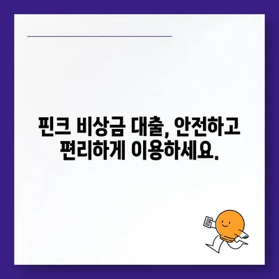 핀크 비상금 대출, 급할 때 딱! 빠르고 간편하게 이용하는 방법 | 비상금, 소액대출, 핀크, 대출